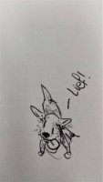 /album/eigen-werk/geschetste-hond-jpeg/